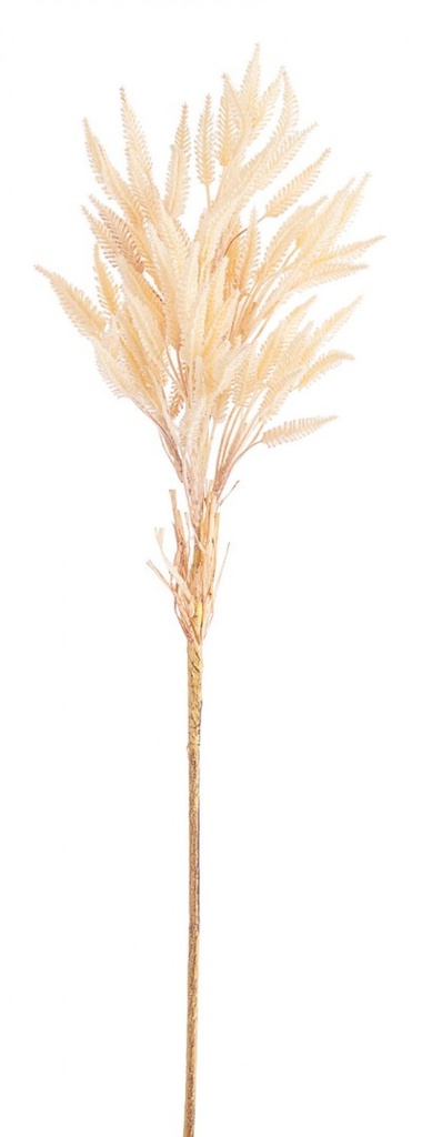 9x Ramo Juliet Orzo Beige H75 - Samnite