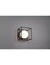 Applique-Plafoniera Gabbia 1xG9 Nero Opaco 14x14 cm Trio Lighting - Samnite