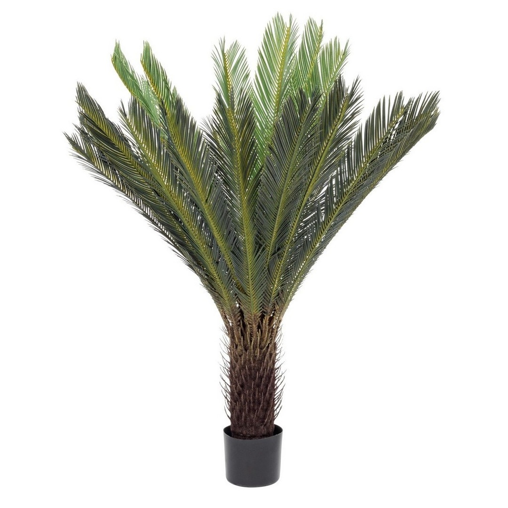 Pianta con vaso Palma Cycas 28 foglie 120h cm - Samnite