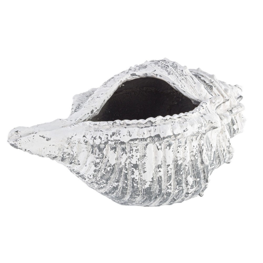 Vaso Conchiglia Magnesia 68x38 cm - Samnite