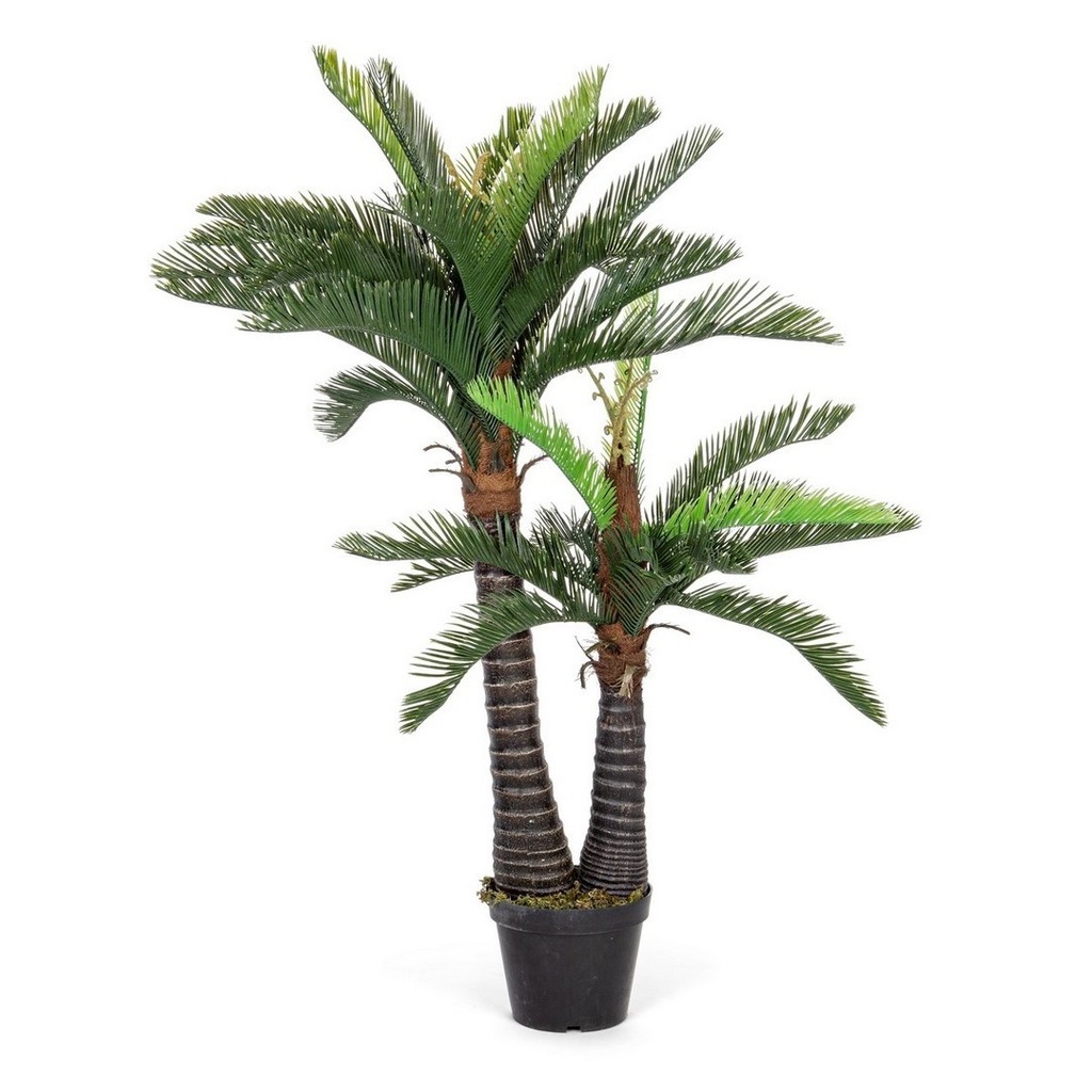 pianta palma c-vaso 36foglie 2tr h150 - Samnite
