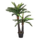pianta palma c-vaso 36foglie 2tr h150 - Samnite