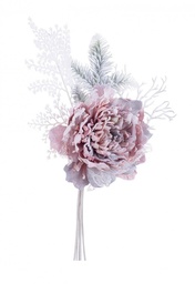 [S-B0939411] 10x Pick Peonia Ginny Cipria Innevato