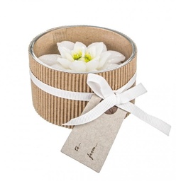[S-B0925790] 12x Candela Stella Di Natale Bianco C