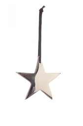 [S-B0939306] 12x Pendaglio Shannon Stella Argento 10X10H