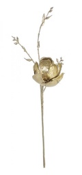 [S-B0915679] 12x Pick Nature Magnolia Foglie Champagne