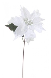 [S-B0929738] 12x Pick Poinsettia Glaciers Bianco H40Cm