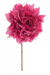 [S-B0925451] 12x Pick Rosa Frise' Borgogna