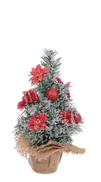 [S-B0938882] 12x Pino Stephan Inn Rosso H30Cm