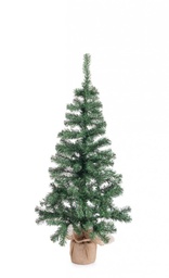 [S-B0971984] 2x Albero Cerano H130-173Rami
