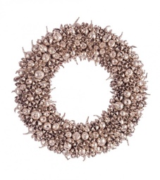 [S-B0970917] 2x Corona Jilly Champagne D30