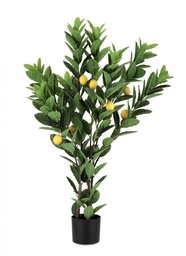 [S-B0172849] 2x Pianta Limone C-Vaso 224Foglie H115