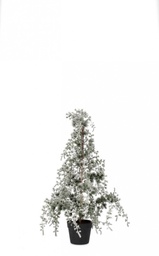 [S-B0939850] 2x Pino Collalto Innevato H90