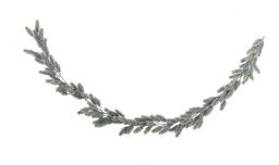 [S-B0971319] 3x Boa Lauryn Verde Innevato H200