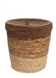 [S-B0411179] 4x Cesta C-Coperchio Fade To Marr-Giallo