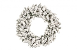 [S-B0898305] 4x Corona Oregon D75