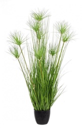 [S-B0172475] 4x Pianta Deserto Verde C-Vaso X9F H120