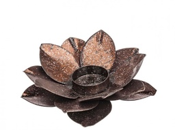 [S-B0926101] 6x P.Candela Dustin Fiore Marrone S