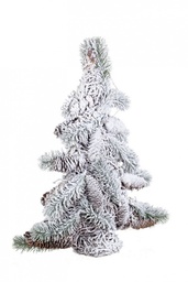 [S-B0928335] 6x Pino Baita H40