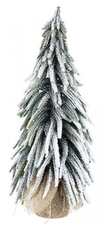 [S-B0933522] 6x Pino Cimone Innevato H43