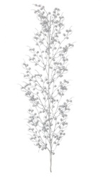 [S-B0934933] 6x Ramo Sheryl Bacche Argento H104Cm