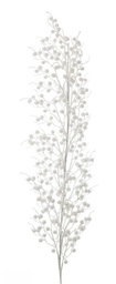 [S-B0934935] 6x Ramo Sheryl Bacche Bianco H104Cm