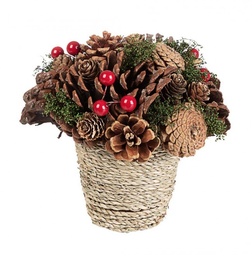 [S-B0931036] 8x Composizione Sequoia C