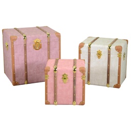 [S-V3813480000] Baule ecopelle 1-3 quadro 50x40h50