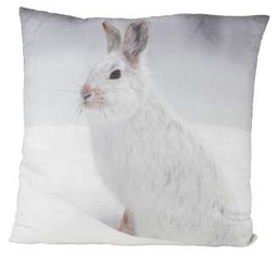 [S-V9174080000] Cuscino Lepre Bianca - Dimensioni 50 x 50 cm