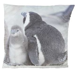 [S-V9174040000] Cuscino pinguini 50x50 cm