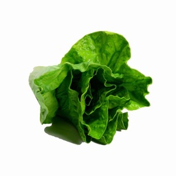 [S-V1863130000] Decorazione vegetale artificiale lattuga 15x9x9 cm