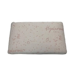 [S-FZ98703] Guanciale Jialuronico13
