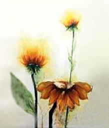 [S-LC/002] Pannello decorativo in legno giallo, finemente rifinito, 60x120x4 cm