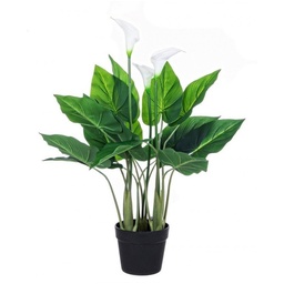 [S-B0172496] Pianta Calla da arredo con vaso 68h cm