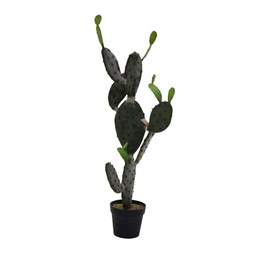 [S-V3628570000] Pianta cactus con vaso nero 45x60x119 cm