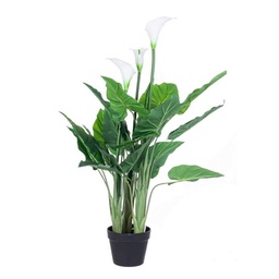 [S-B0172497] Pianta Calla con Vaso, 27 Foglie, Altezza 100 cm
