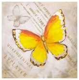 [S-V9184190000] Quadro farfalla arancione