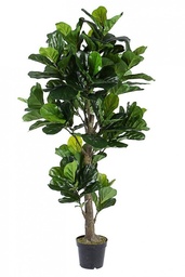 [SA-B0172637] Decorazione casa pianta Ficus Lyrata con vaso - Altezza 190 cm