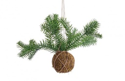 [SAM-B0937157] 6x Decorazione Sfera Kokedama C - Samnite