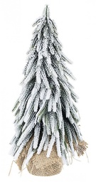 [SAM-B0933523] 6x Pino Cimone Innevato H35 - Samnite