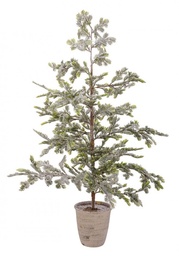 [SAM-B0937156] Pino Iceberg Innevato C-Vaso H120 - Samnite