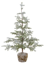 [SAM-B0934560] Pino Peralba Innevato H113 - Samnite
