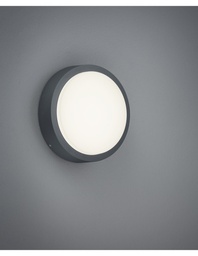 [SAM-TRIO227260142] Plafoniera Da Esterno Breg Antracite IP54 Ø20 cm Trio Lighting - Samnite